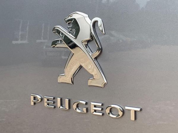 Peugeot Partner 1.5 BlueHDi 1000 Professional Standard Panel Van SWB Euro 6 5dr