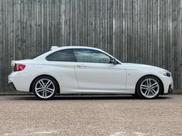 BMW 2 Series 2.0 220i M Sport Euro 6 (s/s) 2dr at 20th